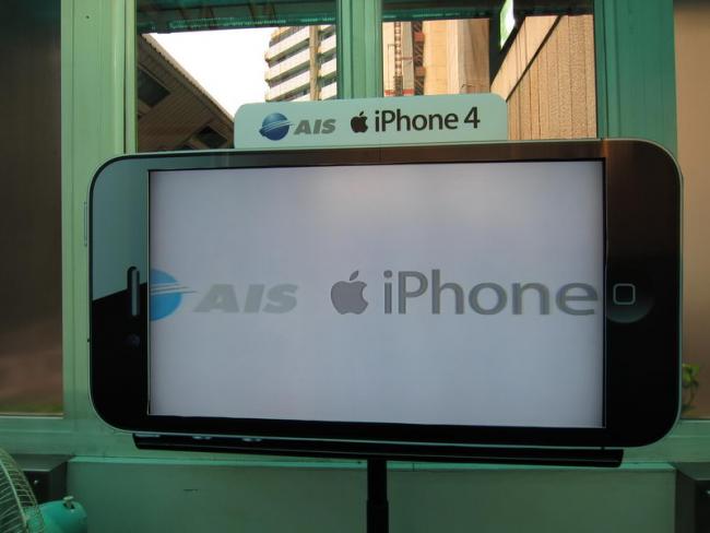 IMG_1816_resize.JPG